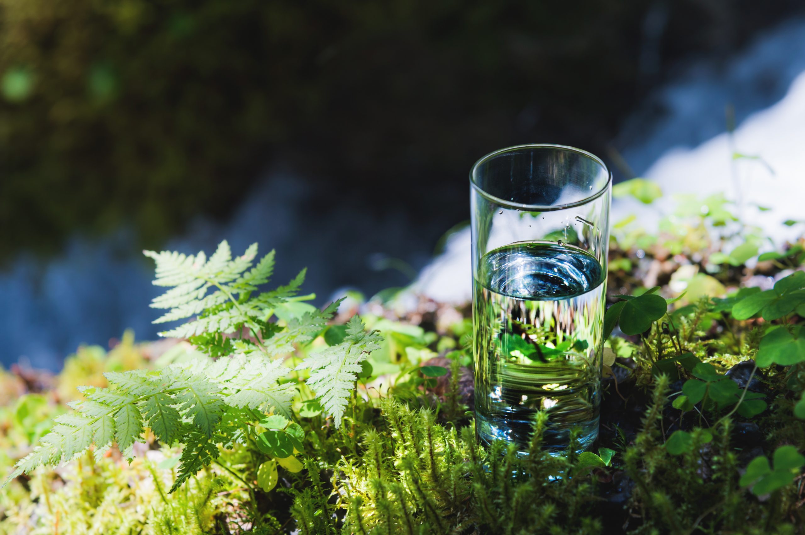 Clear water in a clear glass against a background of green moss with a mountain river in the background. Healthy food and environmentally friendly natural water Clear water in a clear glass against a background of green moss with a mountain river in the background. Healthy food and environmentally friendly natural water.